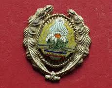 GARZI PATRIOTICE INSIGNA