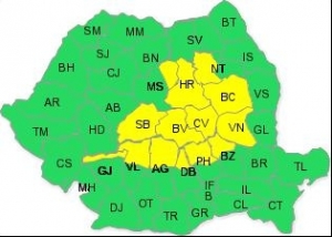 cod-galben-de-ninsori-24-noiembrie 2015