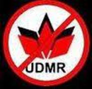 UDMR INT. S