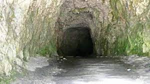 Tunel N