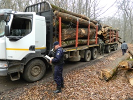 hoti lemne jandarmi1