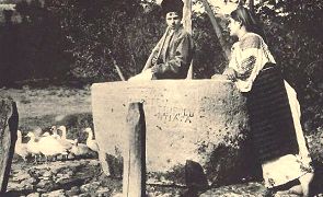 DRAGOBETE - NAVALNICUL