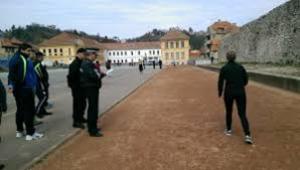 politia locala probe