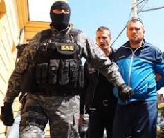 nepot viorica borzos