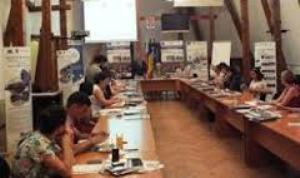 proiecte culturale bv