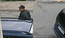 colaj-cadavru-caine-2