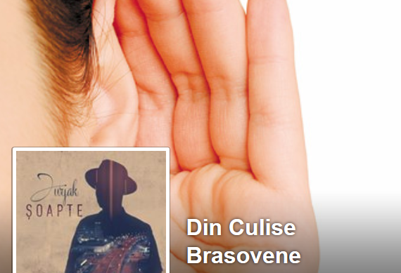 DIN CULISE BRASOVENE S