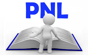 PNL & book
