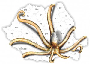 caracatita-PDL-300x214