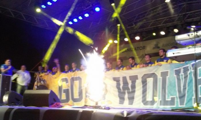 corona bv wolves 778