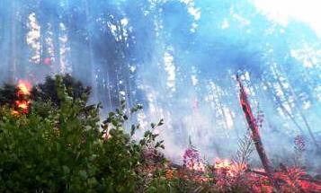 INCENDIU DARSTE -TIMIS