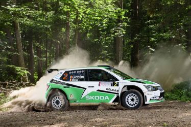 PS10 Hemeius 40-1(1)