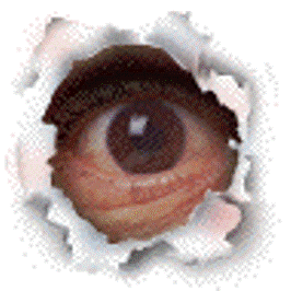 OCHIUL VESNIC DESCHIS