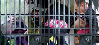 Camelia Smicală Jalaskoski g