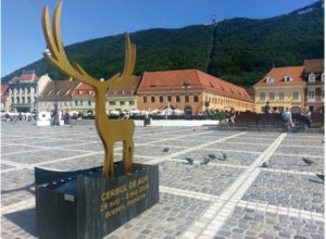 sigla-cerbul-de-aur-300x220