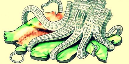 CARACATITĂ ROMÂNIA