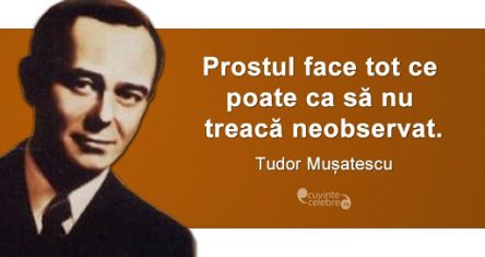 PROSTUL E VIZIBIL