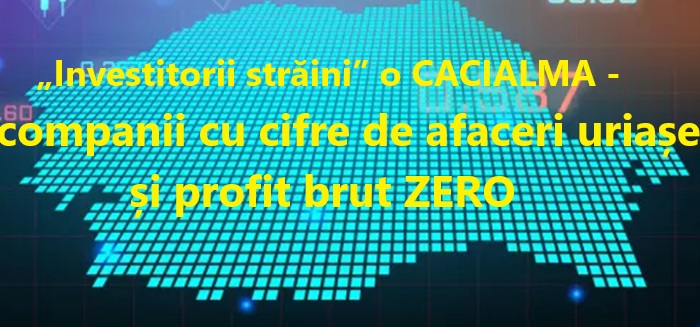 INVESTITII - PROFIT ZERO