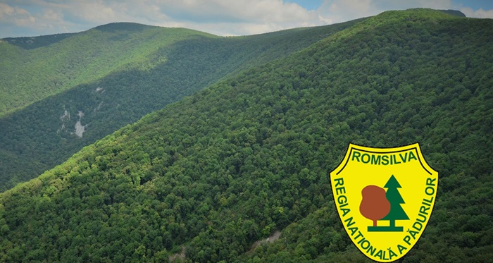 ROMSILVA pădure & sigla