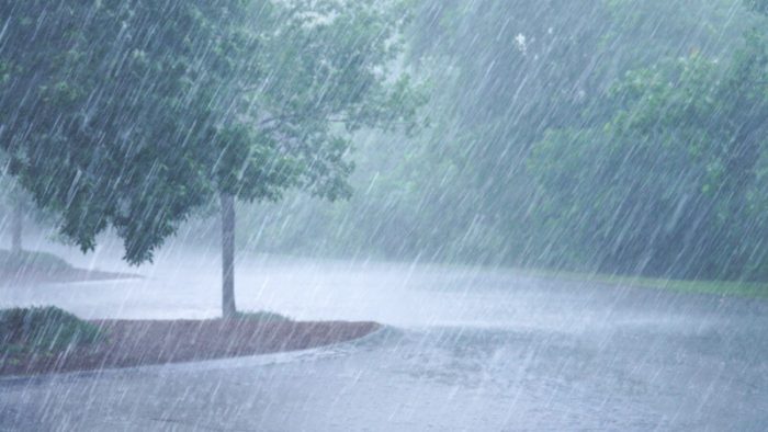 FURTUNĂ - VANT - PLOI