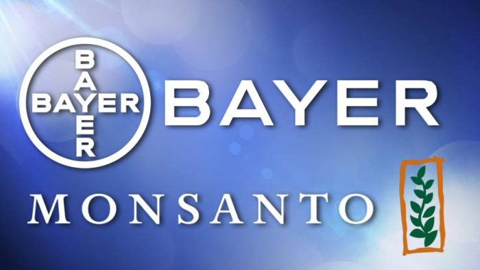 BAYER & MONSANTO