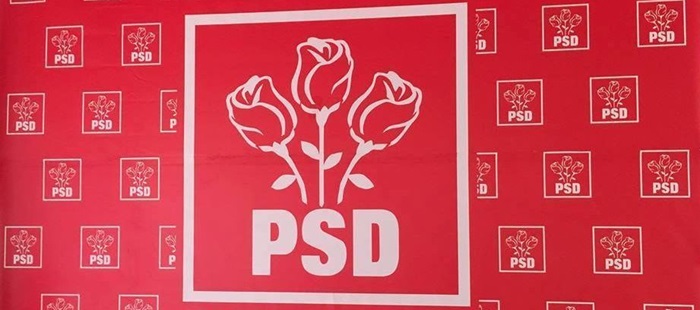 PSD LOGO