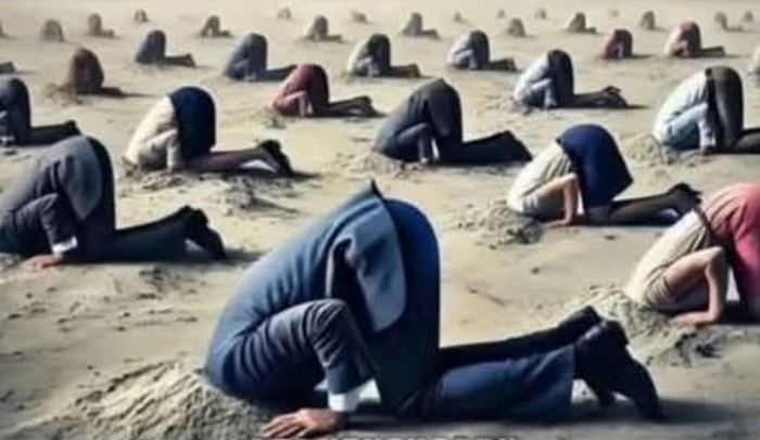 VOTANȚII GLOBALIȘTILOR