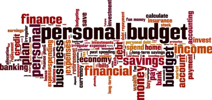 personal budget colaj