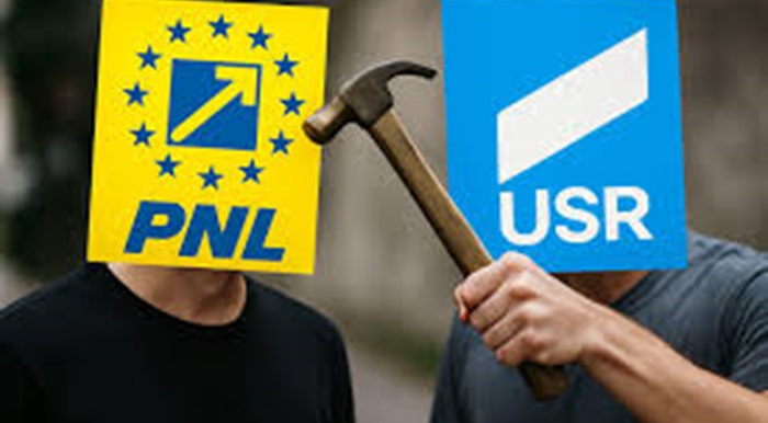 pnl vs usr