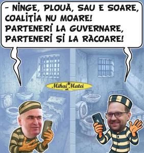 COALITIA MAFIEI