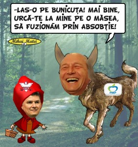 FUZIUNEPRINABSORBTIE                   