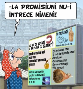 PROMISIUNIELECTORALE                    